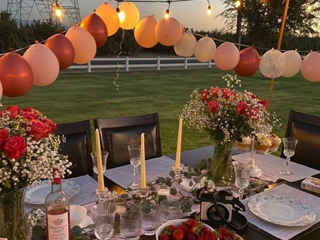 baby shower à Rixheim en extérieur
