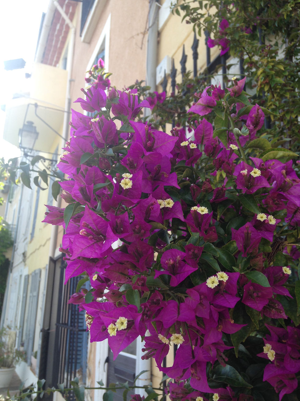 Martigues