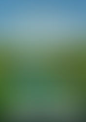 Sentier Botanique de la Roselière et les circuits balisés à Sausset les Pins