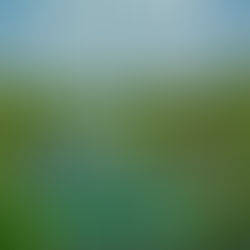 Sentier Botanique de la Roselière et les circuits balisés à Sausset les Pins