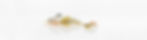 rings.jpg