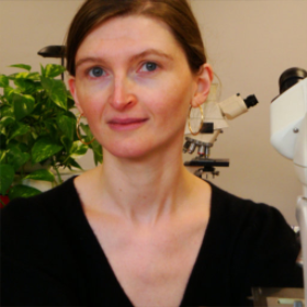 Magali Svreck