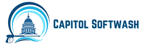 Cap Logo2.png