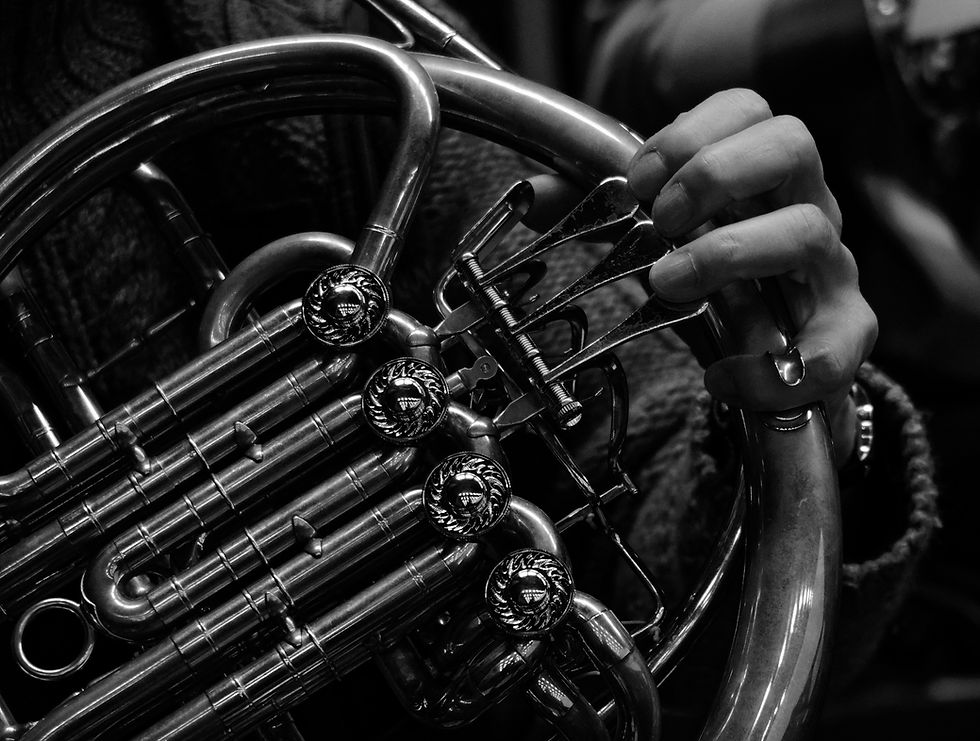 gilles-gravier-zPf_tIeY_Ec-unsplash (1).jpg