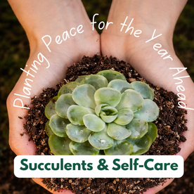 Create a nurturing space for growth