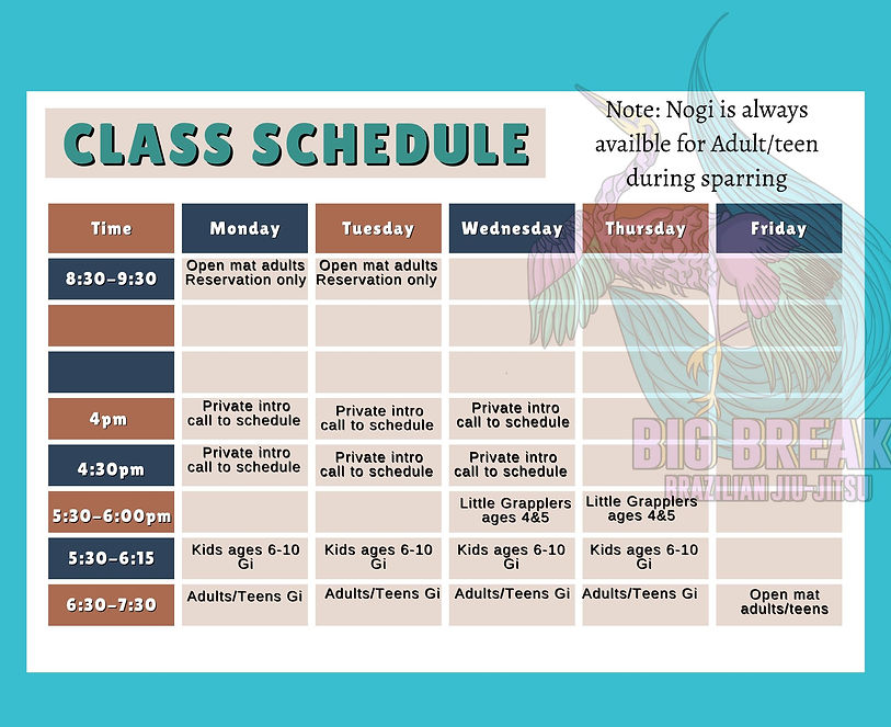 Big break jiu jitsu class schedule