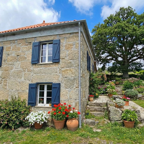 Real Estate & Architecture