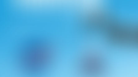 NASA’s Aviation Safety Reporting System