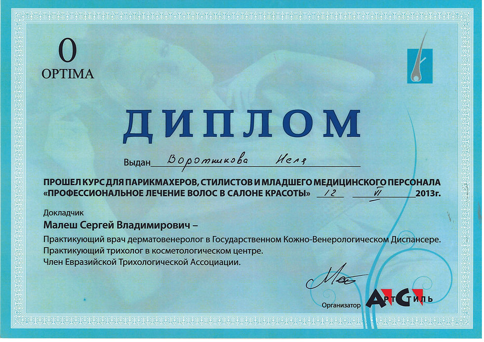 Диплом Наля Воротникова