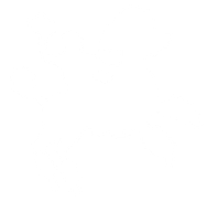 Cowboys & Poodles