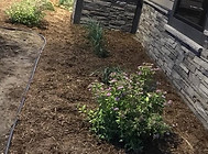 mulch landscape bed