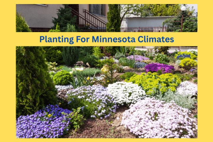 Planting for Minnesota Climates