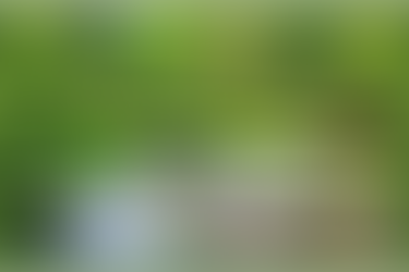 Concrete Vs. Pavers: When to Choose One Over The Other