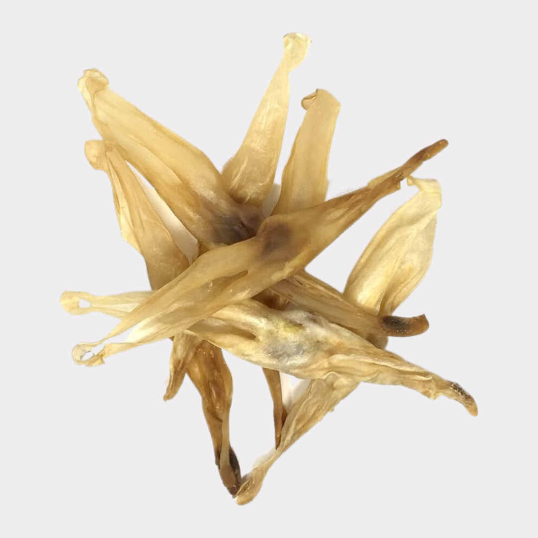 Rabbits Ears (Air Dried)