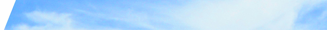 l function background.jpg
