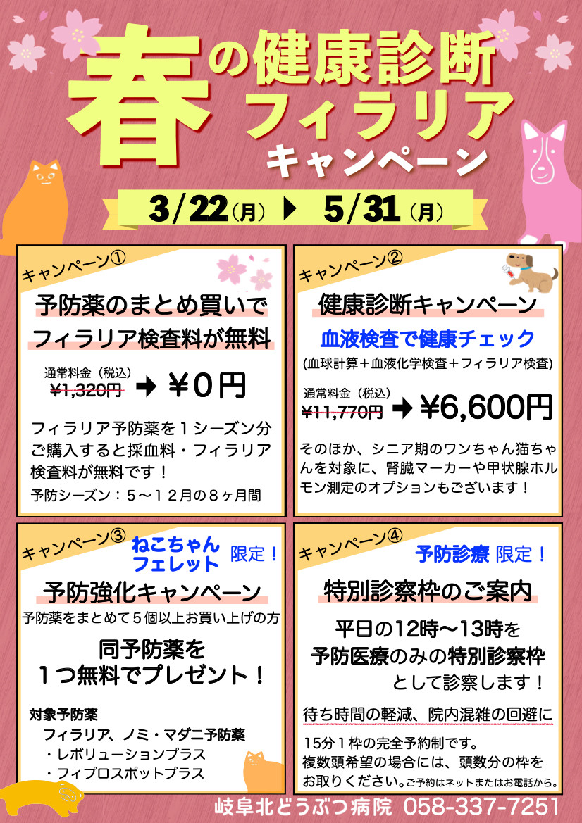 春のキャンペーン その2