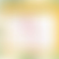 岐阜北どうぶつ病院の7月の診療日