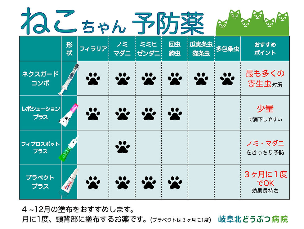 岐阜北どうぶつ病院での猫の予防薬