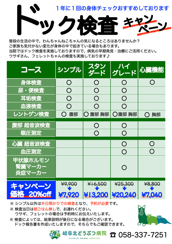 岐阜 動物病院 ドック キャンペーン
