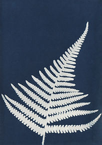 CYANOTYPE NUMBER (10).jpg