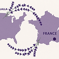 Sister Festival Countries 2.png