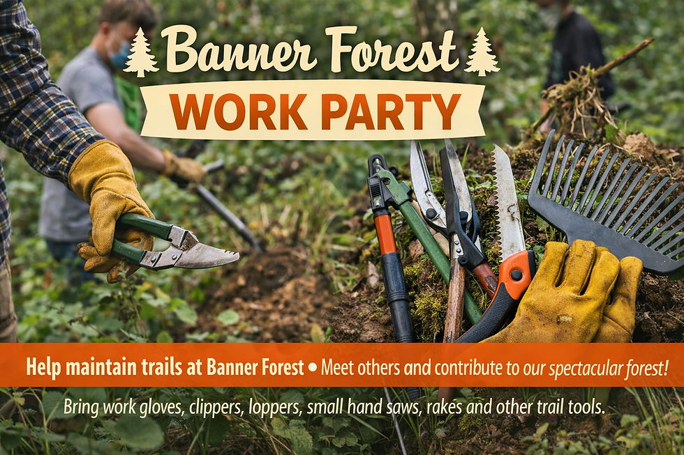 Banner Forest WORK PARTY