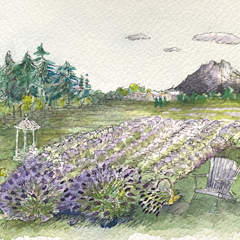 Vendor booth at the Olalla Lavender Festival