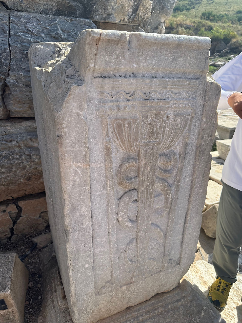 병원을 상징하는 아스클레피오스(Asklepios)