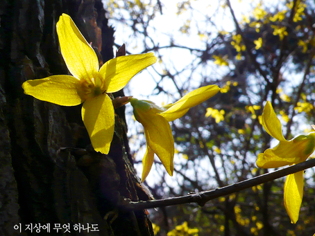 느헤미야 13장, 4월23일 금요일