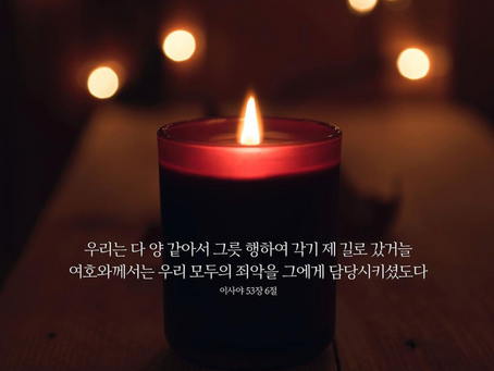 대림절 묵상, 12월11일 금요일