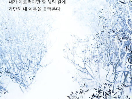 창세기 16장, 1월19일 수요일