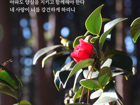창세기 32장, 2월7일 월요일