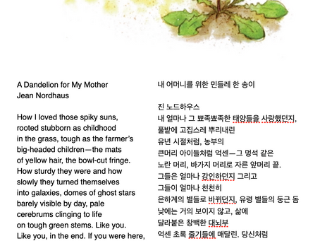 5월9일 화요일, 사무엘하 15 :24~37