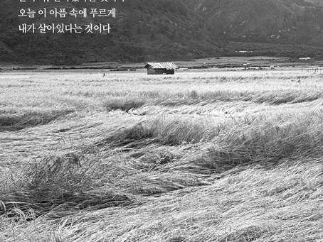 2023.07.28 (금) 사도행전 15 : 30~41