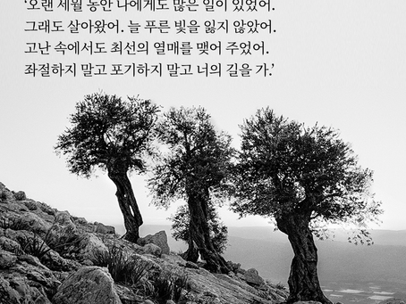 2023.10.13 (금), 잠언 8 : 1~21