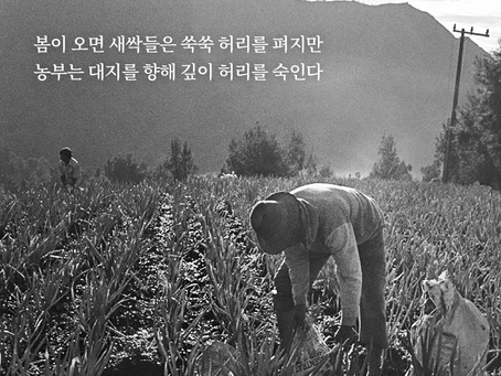 출애굽기 28장, 3월23일 수요일