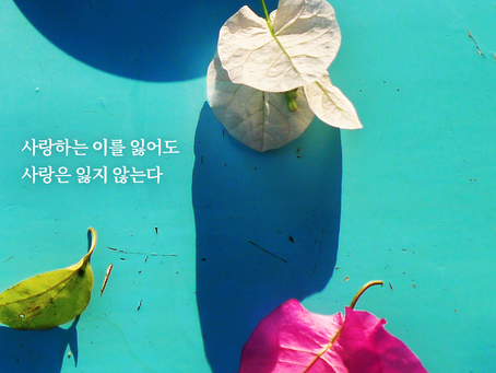 출애굽기 35장-36장, 3월29일 화요일