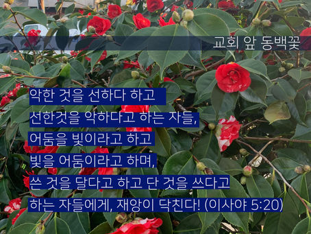 이사야 5장, 2월4일 목요일