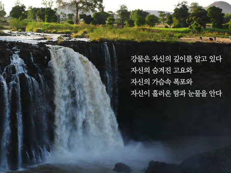 열왕기상 2장, 6월2일 수요일