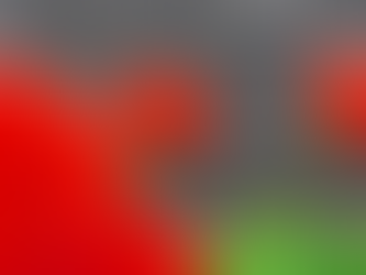 열왕기상 22 : 41~53,2024.05.31 (금)