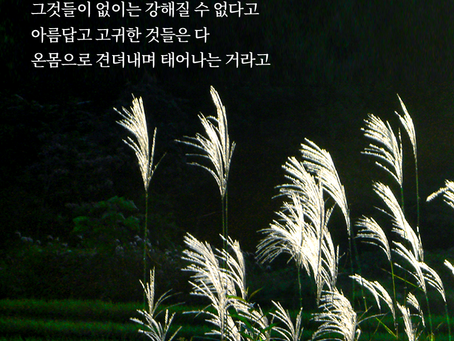 2023.08.03 (목), 사도행전 18 : 1~8