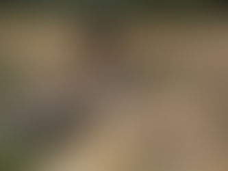 열왕기하 20 : 1~11, 2024.08.07 (수)