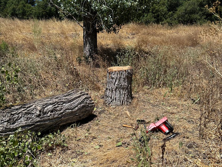 열왕기하 20 : 1~11, 2024.08.07 (수)