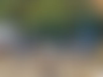 갈라디아서 5:13-26, 2024.10.29 (화)