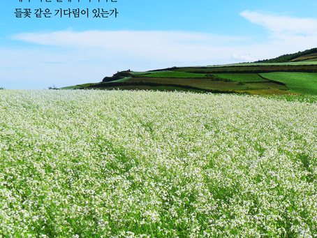 요한계시록 20장, 5월28일 금요일