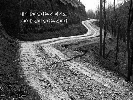 디모데 전서 1-2장, 9월1일 수요일