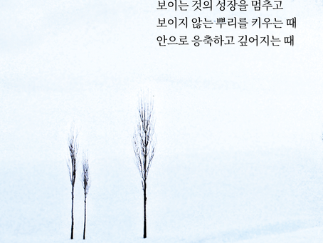 창세기 14장, 1월17일 월요일