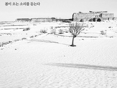 이사야 21장, 2월16일 화요일