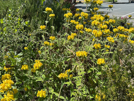 민수기 20 : 22~29, 2025.05.08 (목)