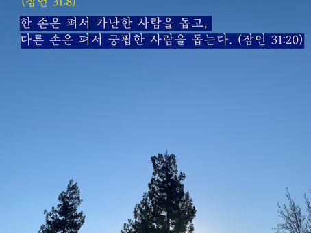 잠언 31장, 1월19일 화요일